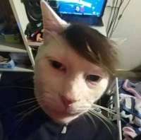 164