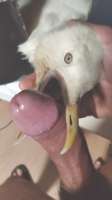 1232