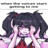 1029