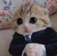 63