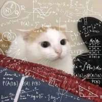 348