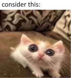 80
