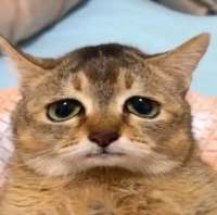 83