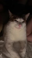 793