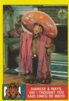 146