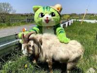 789