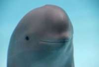159