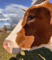 1490