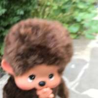 431